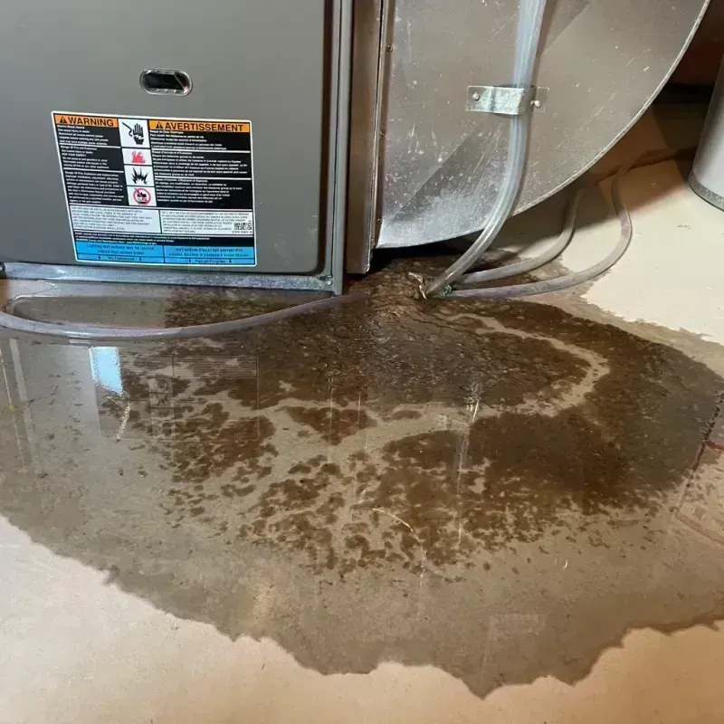 Appliance Leak Cleanup in Hallsville, MO